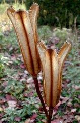 yuri004.jpg (13951 �o�C�g)