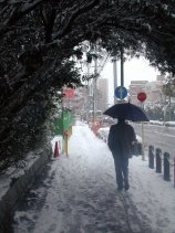 oyuki052.jpg (11583 �o�C�g)