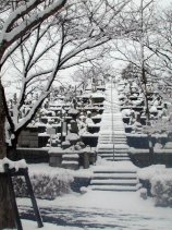 oyuki081.jpg (15441 �o�C�g)