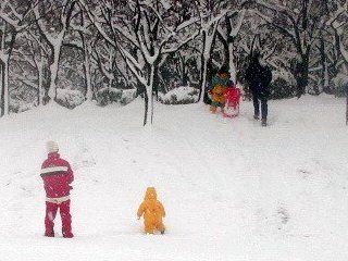 oyuki093.jpg (25356 �o�C�g)