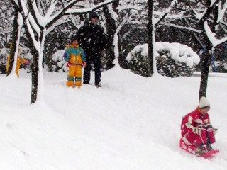 oyuki094.jpg (26109 �o�C�g)