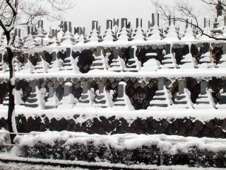 oyuki112.jpg (32985 �o�C�g)