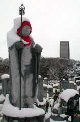 oyuki113.jpg (10537 �o�C�g)