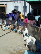 doubutsu28.jpg (11969 �o�C�g)