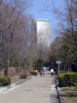 haisuito45.jpg (11341 �o�C�g)