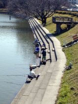 nekogahora41.jpg (11612 �o�C�g)