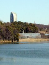 nekogahora42.jpg (7025 �o�C�g)