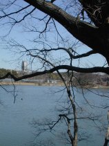 nekogahora44.jpg (11558 �o�C�g)