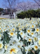 Dscn004s.jpg (15411 �o�C�g)