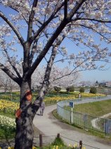 Dscn008s.jpg (15040 �o�C�g)