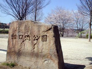 Dscn029m.jpg (29985 �o�C�g)