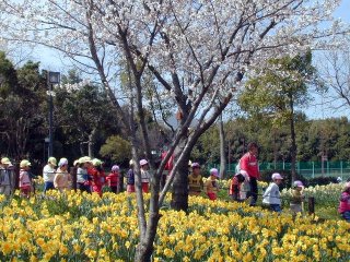 osanpo61m.JPG (39278 �o�C�g)