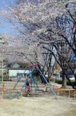 yuugu53.jpg (16850 �o�C�g)