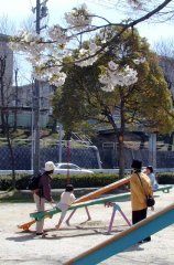 yuugu57.jpg (15844 �o�C�g)