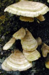 Dscn013s.jpg (12465 �o�C�g)