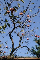 �����̋�Ɗ`