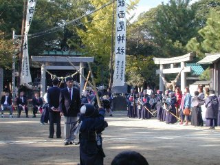 �����ł̌������