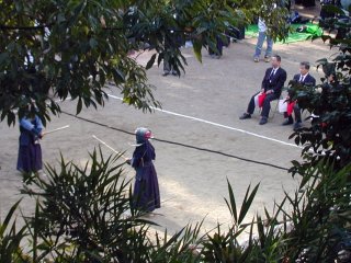 �����ł̌������