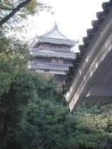 nishio_c030.jpg (10962 �o�C�g)