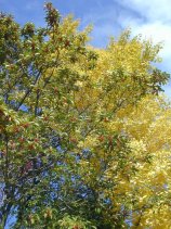 Dscn005s.jpg (16250 �o�C�g)