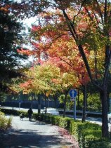 Dscn023s.jpg (16840 �o�C�g)