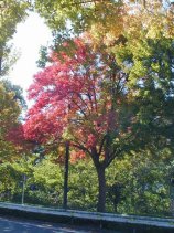 Dscn024s.jpg (15541 �o�C�g)