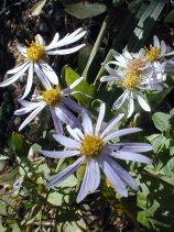 Dscn038s.jpg (16414 �o�C�g)