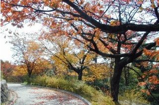 Dscn059m.jpg (34928 �o�C�g)