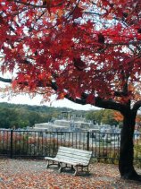 Dscn066s.jpg (17272 �o�C�g)