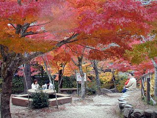 Dscn0024.jpg (36762 �o�C�g)