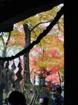 Dscn005s.jpg (12369 �o�C�g)