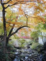 Dscn031s.jpg (16380 �o�C�g)