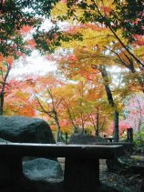 Dscn036s.jpg (14851 �o�C�g)