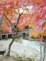 Dscn039s.jpg (14080 �o�C�g)