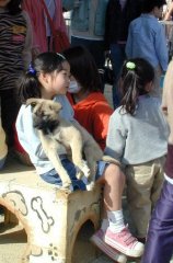 doubutsu025s.jpg (13236 �o�C�g)