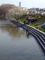 nekogahora053s.jpg (9428 �o�C�g)