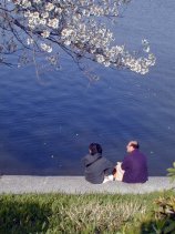 nekogahora056s.jpg (10518 �o�C�g)