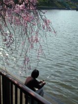 nekogahora083s.jpg (12051 �o�C�g)