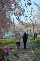 shidare074s.jpg (15199 �o�C�g)