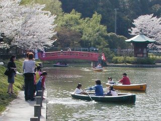 jokoji051m.jpg (28488 �o�C�g)