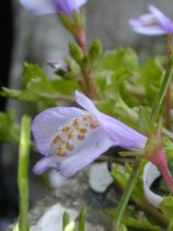 �ނ炳����������