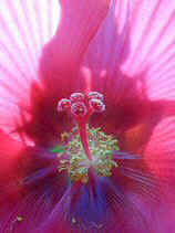 DSCN6097s.JPG (18052 �o�C�g)