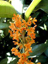 DSCN6105s.JPG (26216 �o�C�g)