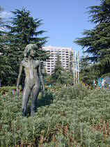 DSCN6118s.JPG (27897 �o�C�g)