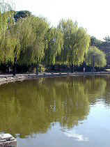 DSCN6128s.JPG (20399 �o�C�g)