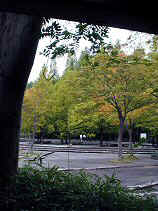 DSCN0001s.JPG (24872 �o�C�g)