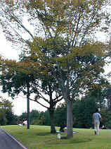 DSCN0011s.JPG (30692 �o�C�g)