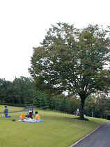 DSCN0012s.JPG (20195 �o�C�g)