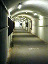 DSCN0057s.JPG (16478 �o�C�g)