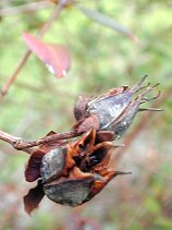 Image013s.jpg (9758 �o�C�g)